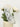 LE BANDEAU DENTELLE BLANC